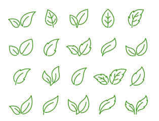 green leaves and branches linear set icons