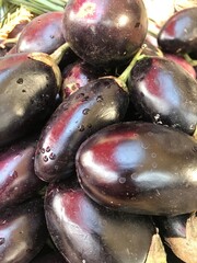 eggplants on a white background