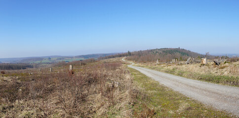 Kahlschlag im Teutoburger Wald