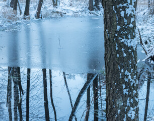 Zimowy krajobraz nad wodą w lesie 1