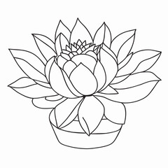 lobivia cactus, vector illustration line art