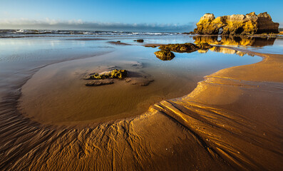 Portimão, Portugal, the tranquil beach is bathed in golden light, with reflective wet sand and mossy rocks under a clear sky, evoking serene solitude.