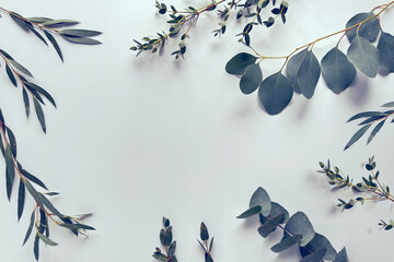 White background with eucalyptus and various evergreen twigs, overhead view
