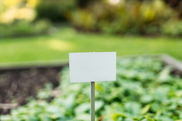 Blank on white tag for message of concept. Early summer in urban vegetable garden. Vegetable cultivation in raised bed, mockup of nameboard