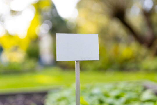 Blank on white tag for message of concept. Early summer in urban vegetable garden. Vegetable cultivation in raised bed, mockup of nameboard