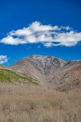 cades cove