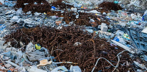 a pile of rusty metal shavings
