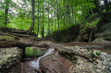 Forest spring in southern Swabia. Riedbach - small river in Allgäu. Small stream in rocky ravine with green trees around.