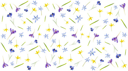  Seamless pattern from different spring flowers isolated on a white background. Top view. Springtime Florals