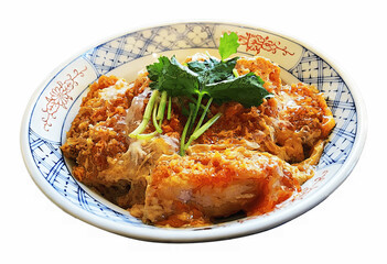 切り抜き済みかつ丼