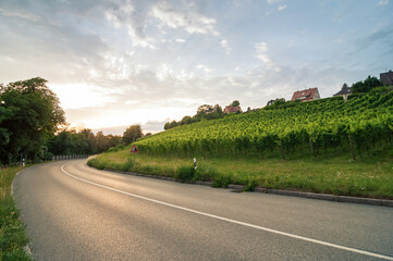 Countryside road near vineyard at sunset. Rural road in southern part of Germany, outskirts of a village. Curvy road surrounded by trees and shrubs turns right.