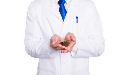 Cropped portrait of handsome biologist in white outfit with tie, showing having  vial with field and small plant, going to make analysis for pesticides and gmo, isolated on grey background