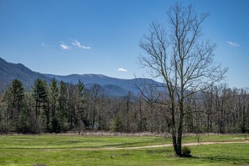 Obraz premium mountains