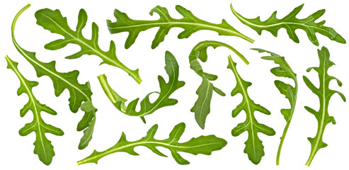 Rucola leaves, falling arugula salad isolated on white background - 755585563