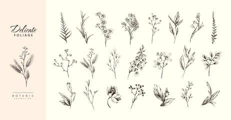 Botanic set of detailed various flowers and brunch. Luxury vintage floral collection for wedding invitation, wallpaper art or save the date card. Botanical vector illustration