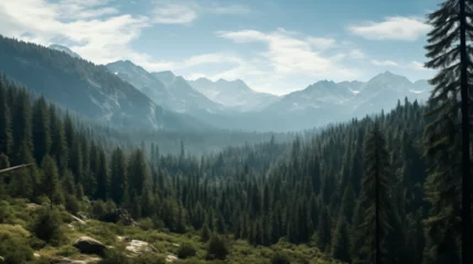 Foto op Plexiglas Paysage de forêt dans les montagnes. Nuage, brume, ciel. Horizon, calme. Pour conception et création graphique. © FlyStun