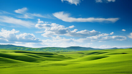 Fototapeta na wymiar Paysage d'une prairie avec de l'herbe verte, des montagnes en arrière-plan et un beau ciel bleu avec nuages. Fond d'écran, décor, paysage calme. Pour conception et création graphique.
