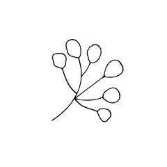 Hand-drawn branch of a flower. Doodle-style minimalistic botanical illustration. Isolated on white.