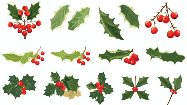 Holly christmas branches leaves berries fruit line 