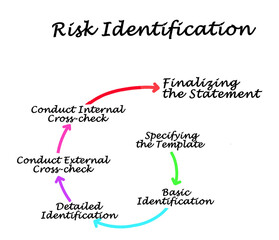 Six Components of  Risk Identification