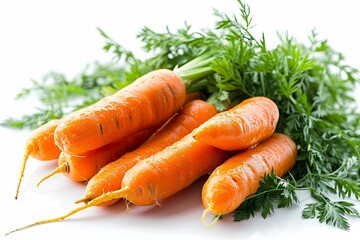 Fresh carrots harvest background with Healthy vegan food and Gardening concept on white background