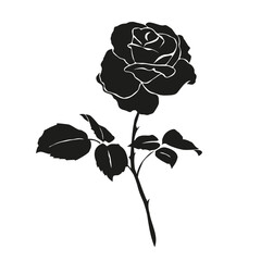 Rose flower silhouette isolated on white background, vector floral illustration