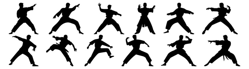 Fototapeta na wymiar Fighter karate kung fu silhouette set vector design big pack of illustration and icon