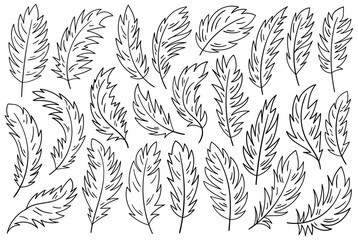 Bird feather outline monochrome graphic design set line black-and-white quill vector Illustration - obrazy, fototapety, plakaty