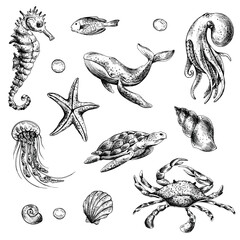 Underwater world clipart with sea animals whale, turtle, octopus, seahorse, starfish, shells, coral and algae. Graphic illustration hand drawn in black ink. Set of isolated objects EPS vector. - obrazy, fototapety, plakaty
