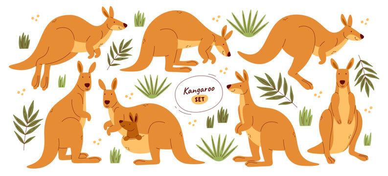Cute kangaroo cartoon characters jumping, eating, playing, holding baby in bag set isolated on white