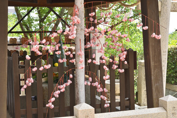 神戸北野天満神社の叶い鯉