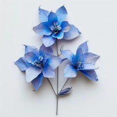 Origami, cute blue flowers made from paper on white background