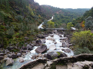 Magnifique paysage de ruisseau et cailloux