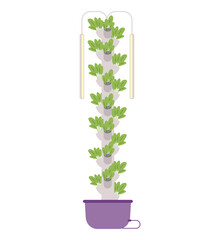 Aeroponic tower system with salad flat vector illustration isolated on white.