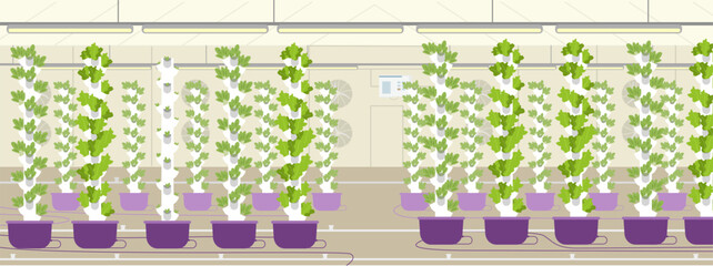 Vertical farm flat vector illustration. Greenhouse with aeroponic towers for crop production. 