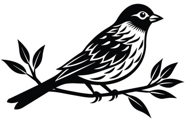 A Bird vector Illustration Design 