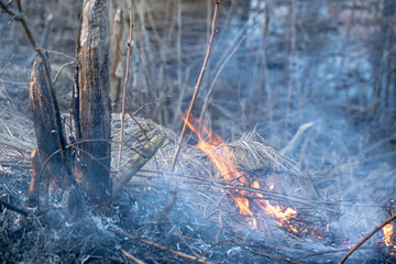 Dry grass burning in the fire.