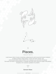 Zodiac sign constellations pisces vector illustration wall decor ideas