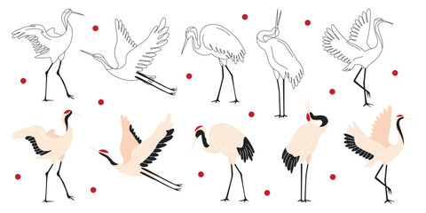 Naklejka premium Japanese cranes and birds graphic black-and-white storks in different poses set vector illustration