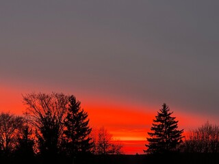 Fototapeta premium sunset in the forest
