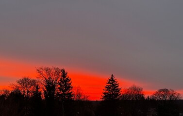 Fototapeta premium sunset in the forest