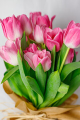 pink tulips