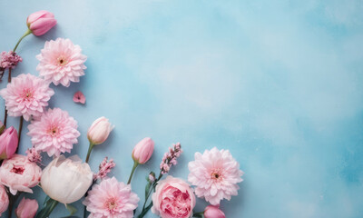 Flatlay top view spring flowers pink color with space for text at blue background.Valentine's Day, Easter, Birthday, Happy Women's Day, Mother's Day concept.