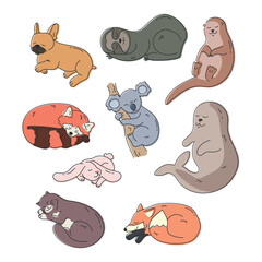 Set of cute hand drawn different sleeping animals. Cartoon sleepy cat, otter, seal, koala, French bulldog, rabbit, fox, red panda and sloth animal. Vector illustration © Mariia