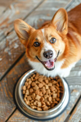 Happy Dog with a Bowl of Food. A cheerful Corgi sits with a tongue out next to a bowl full of dog food, representing a healthy pet mealtime.