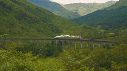 Picturesque stone viaduct over green valley crossed by a Jacobite steam train