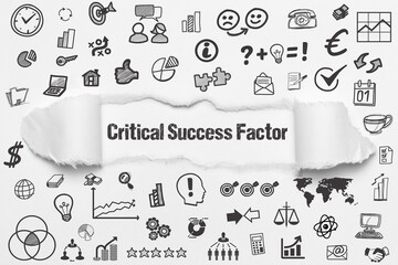 Critical Success Factor	 - obrazy, fototapety, plakaty