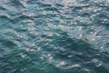 Naklejka premium Emerald green sea texture background Glittering reflected in the sunlight Look and feel refreshed.
