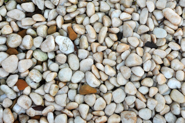 pedras brancas de jardim 