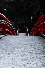 雪の降る橋